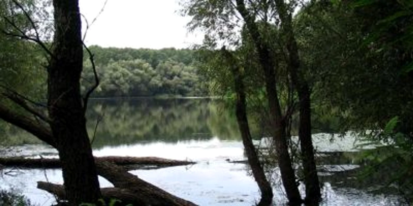 slobozia popina