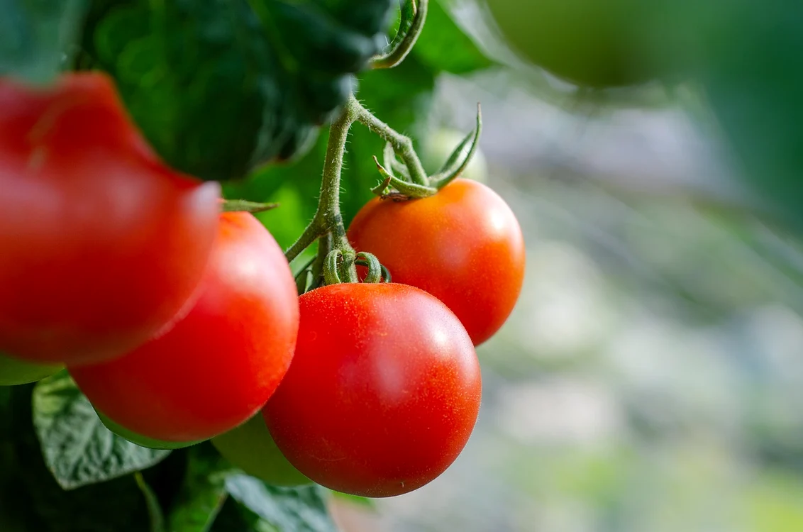 Ciorba de roșii este sănătoasă și delicioasă / foto: Pixabay