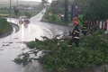 Vijelie Hunedoara 01, foto ISU Hunedoara