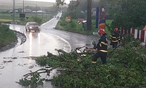 Vijelie Hunedoara 01, foto ISU Hunedoara