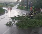 Vijelie Hunedoara 01, foto ISU Hunedoara