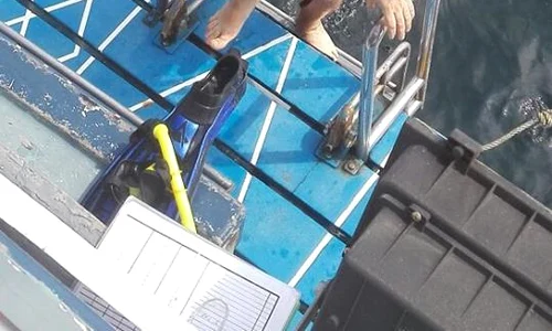 chef catalin scarlatescu 2 jpeg