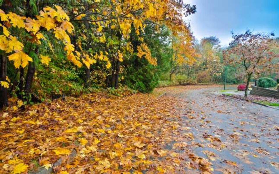Prognoza meteo București Carpați vreme rece precipitații ceață temperaturi variate | sursa foto: Adevarul