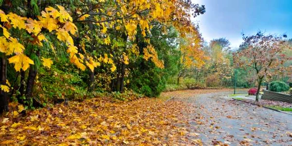 Meteo ploi vreme toamna ploaie FOTO Shutterstock
