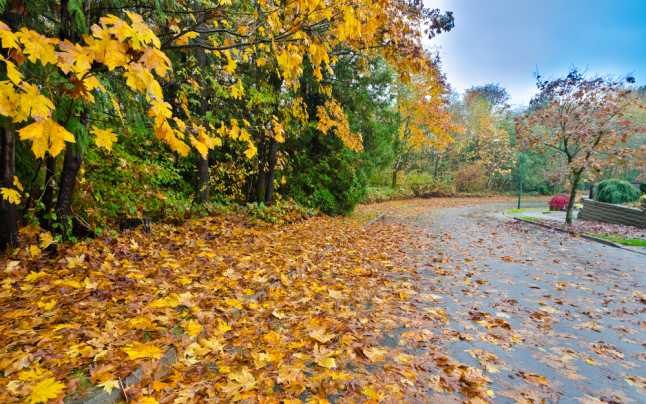 Cum va fi vremea în următoarea lună. Temperaturi mai ridicate decât cele obișnuite Cum va fi vremea în următoarea lună. Temperaturi mai ridicate decât cele obișnuite