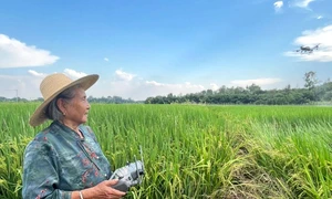 batrana drona camp FOTO X / Voice of the People @VoiceofPD