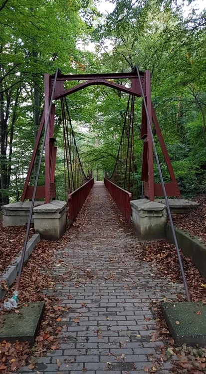 Izvoare din staţiunea balneară Călimăneşti - Căciulata din judeţul Vâlcea Foto Adevărul - credit DMS