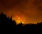 Incendii de vegetaţie în Insulele Canare