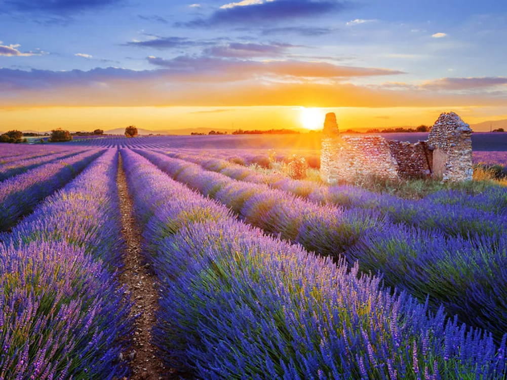 Provence este una dintre cele mai frumoase regiuni ale Franței / foto: Shutterstock
