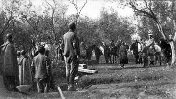 Disensiunile dintre Austro Ungaria și Serbia: De la „Războiului porcilor“, la Războaiele Balcanice jpeg