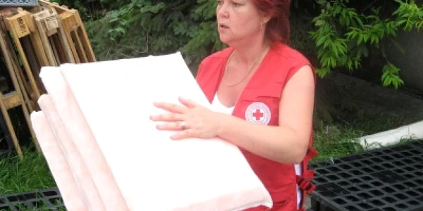 rodica borlan