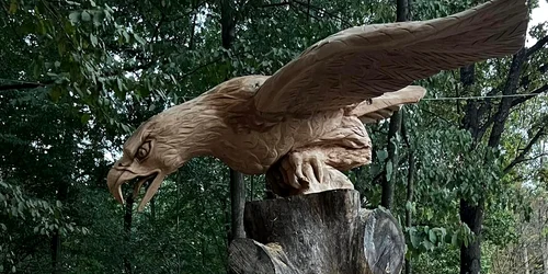 387094536 2708823435942351 3890575229925001523 n jpg