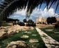 tunisia foto lucian muntean 19 0 jpg