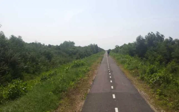 Pista de biciclete de pe digul Begăi FOTO Ştefan Both