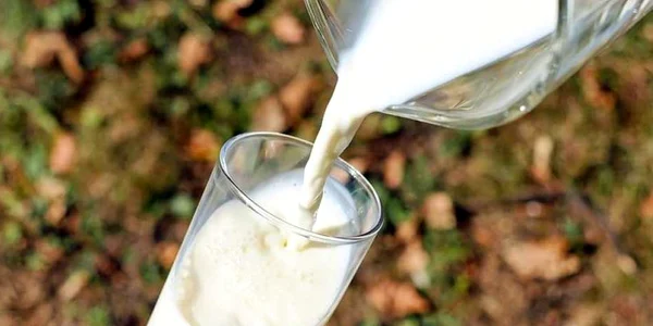 Ce mănânci dacă nu tolerezi lactoza. Alimentele care te ţin sănătos