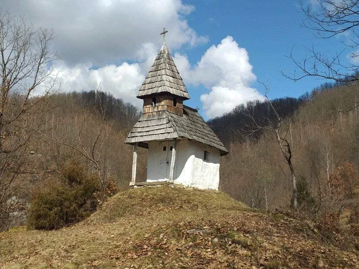 „Tiliuța” lui Nuțu Pop FOTO Teofil Ivanciuc