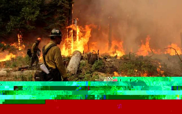 Pompieri încercând să stingă incendiul din parcul naţional Yosemite. FOTO: Reuters