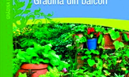 1 47262 original jpg jpeg