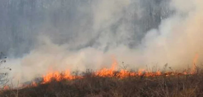 Târgu-Jiu: Incendiu de vegetaţie uscată