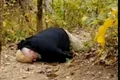 barbat mort adevarul jpg