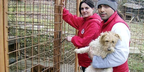 Tehnicianul veterinar Ovidiu Ţurlea a găsit primul căţel care va fi sterilizat. (Foto: Iulia Tudor) 