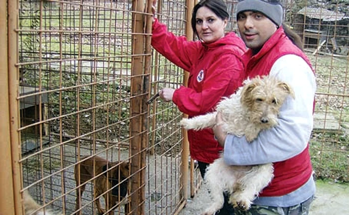 Tehnicianul veterinar Ovidiu Ţurlea a găsit primul căţel care va fi sterilizat. (Foto: Iulia Tudor) 