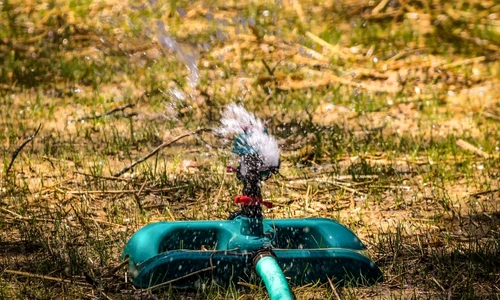 1 74066 original jpg jpeg