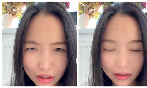 chinezoaica jpg