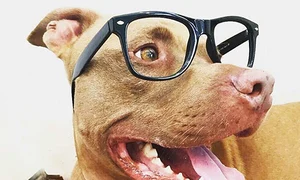 caine 1 231411511 jpeg