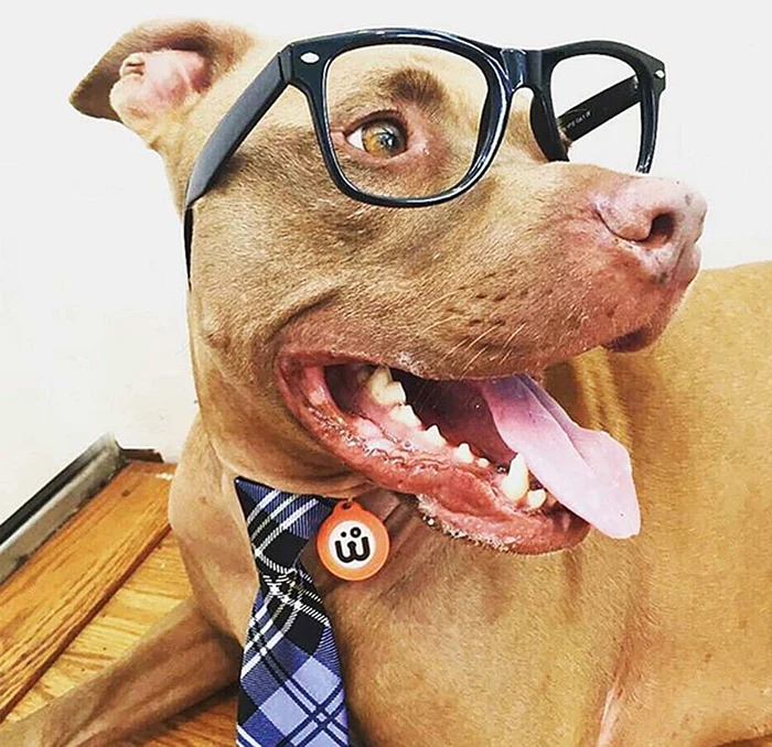 
    Foto: Photoland Wenn  