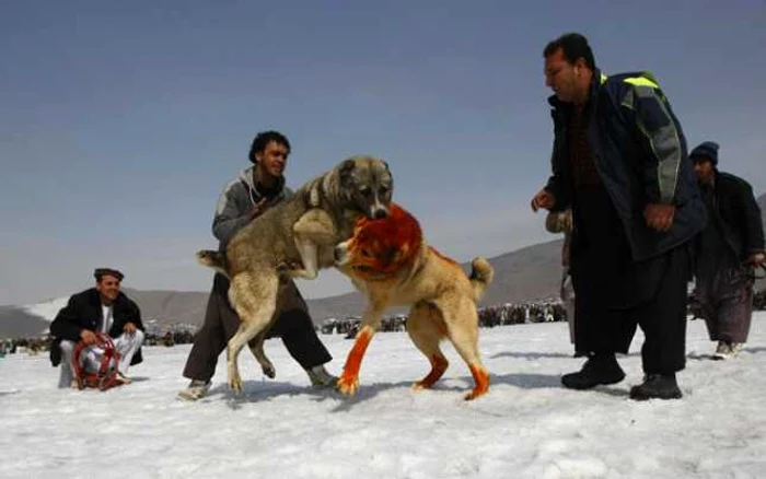 Kuchis este una dintre sărbătorile tradiționale afgane/ foto:Reuters 