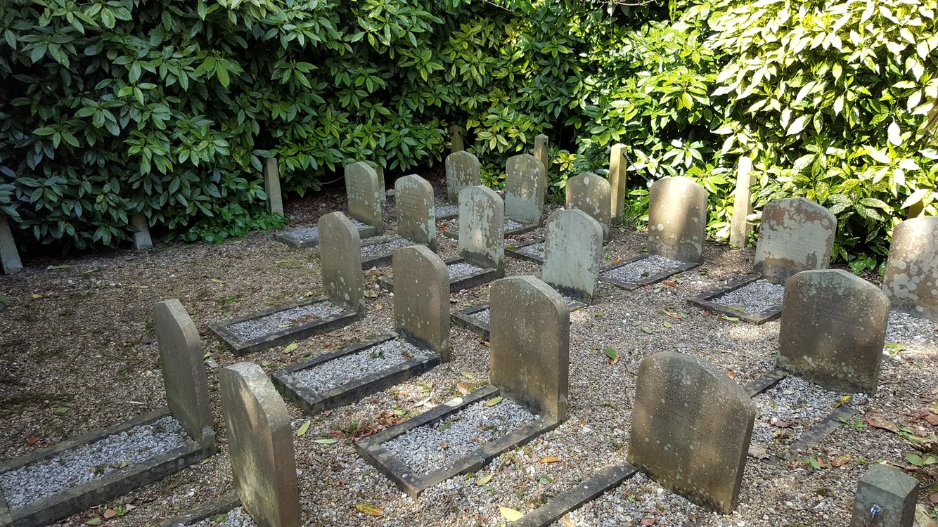 Cimitirul de căței de pe domeniu Greville din Surrey. FOTO: Profimedia