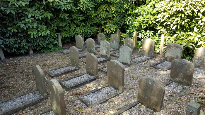 Cimitirul de căței de pe domeniu Greville din Surrey. FOTO: Profimedia