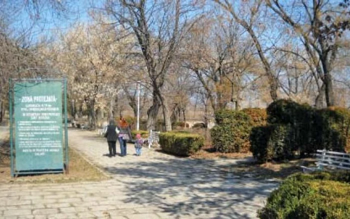 Din Parcul Gării, „gruparea Boldea“ a smuls peste 7.000 de metri pătraţi  