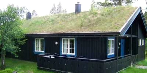 Moda acoperișurilor verzi cucerește și România