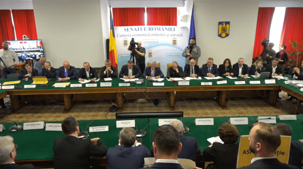 Contre între PSD și PNL la audierea conducerii ASF. Cum explică instituția situația din domeniul asigurărilor 