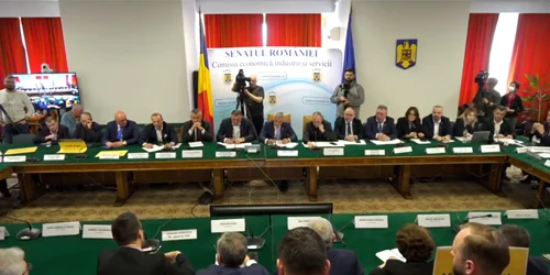 Audierea conducerii ASF în Senat FOTO: Captură de Ecran