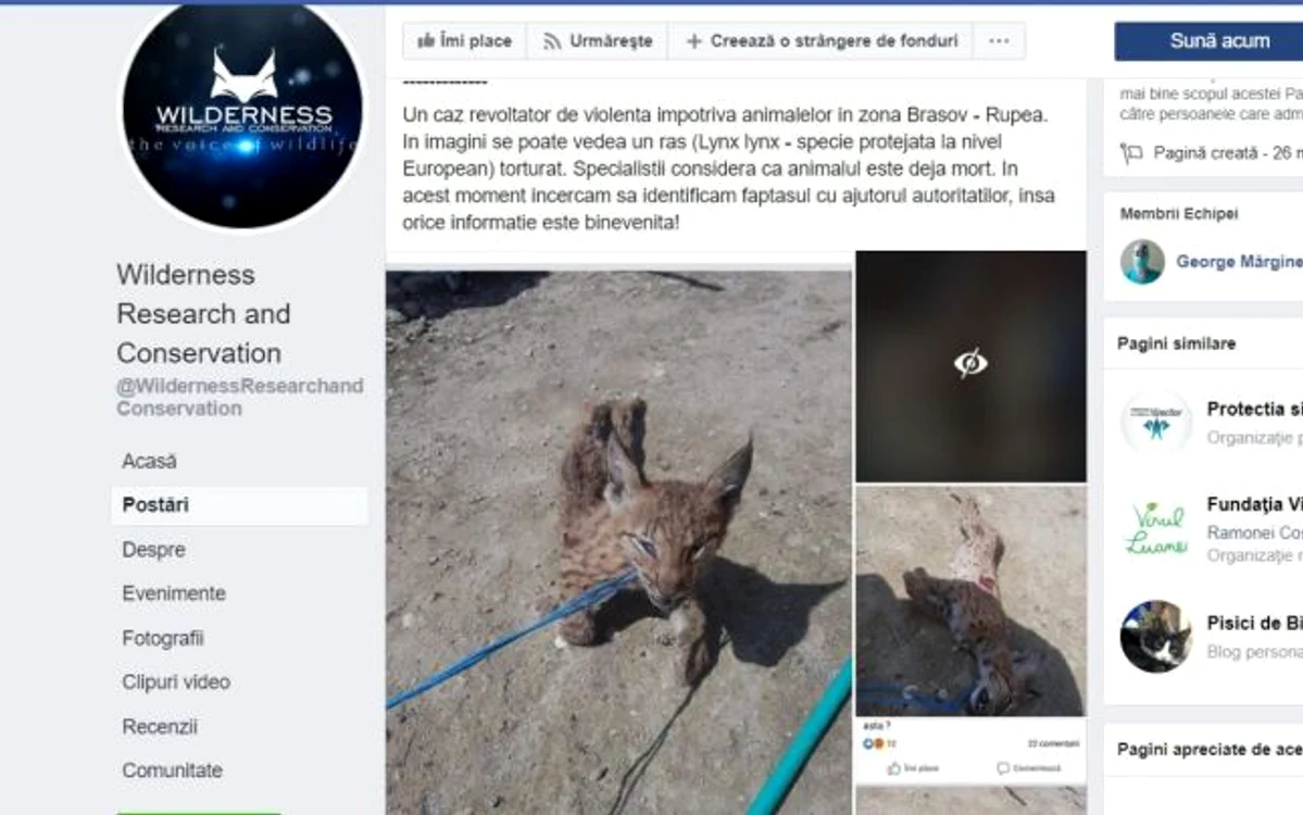 pui de ras ucis captura facebook
