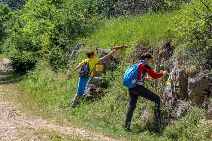 Tinerii au marcat trasee turistice în Munţii Trascău. Foto: Lucian Macaveiu