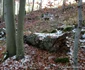 cetatea dacica piatra rosie foto adevarul daniel guta