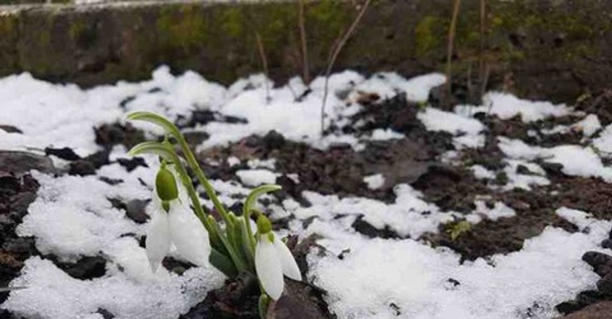 România, sub un val de aer siberian. Prognoza ANM