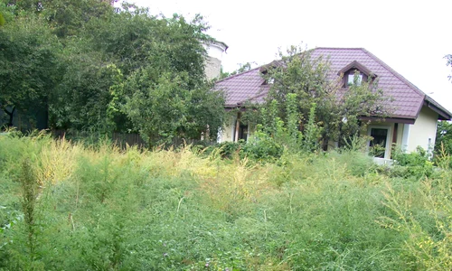 Casa Teodorenilor, blocul locatarilor jpeg