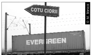 Cu ochii n 3,14 jpeg