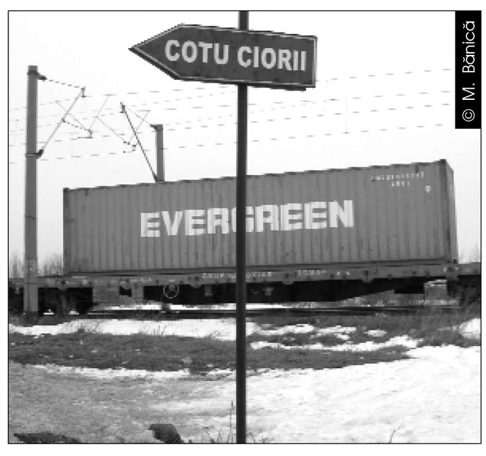 Cu ochii n 3,14 jpeg