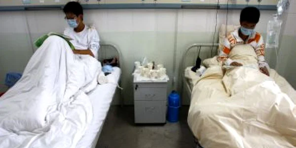 Ecuador: 1.243 de cazuri de gripă porcină, 64 dintre acestea fiind fatale