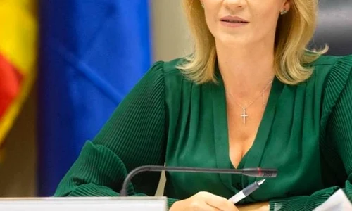 gabi firea 0 jpeg