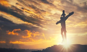 vinerea mare 2024 jpg