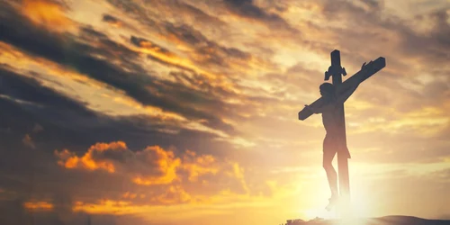 vinerea mare 2024 jpg