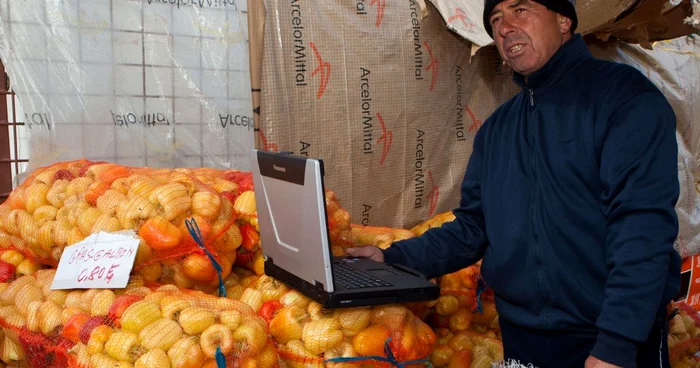 Ion Stamate, cu laptopul printre gogoşari