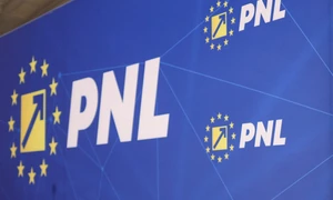 INSTANT PNL DECLARATII 03 INQUAM Photos Octav Ganea jpg
